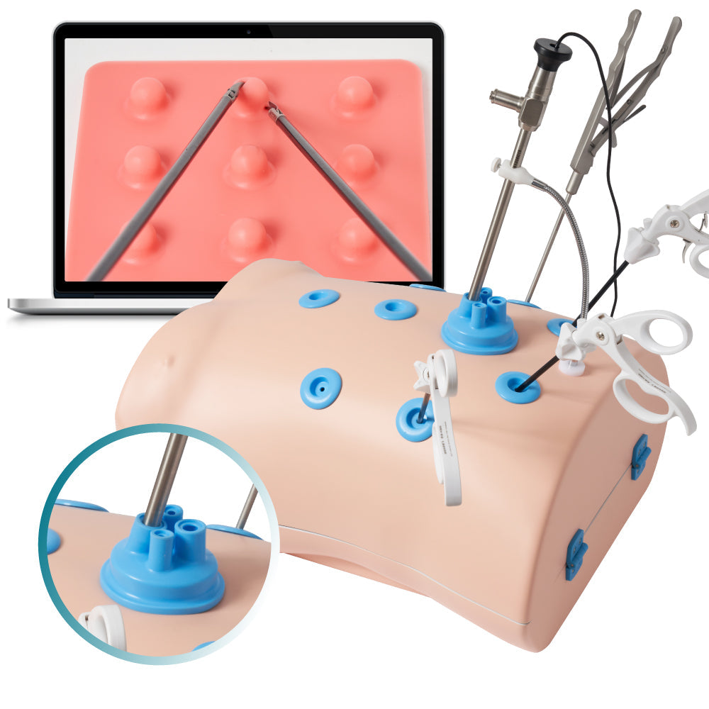 Caja de entrenamiento laparoscópico abdominal de puerto único Alcedo