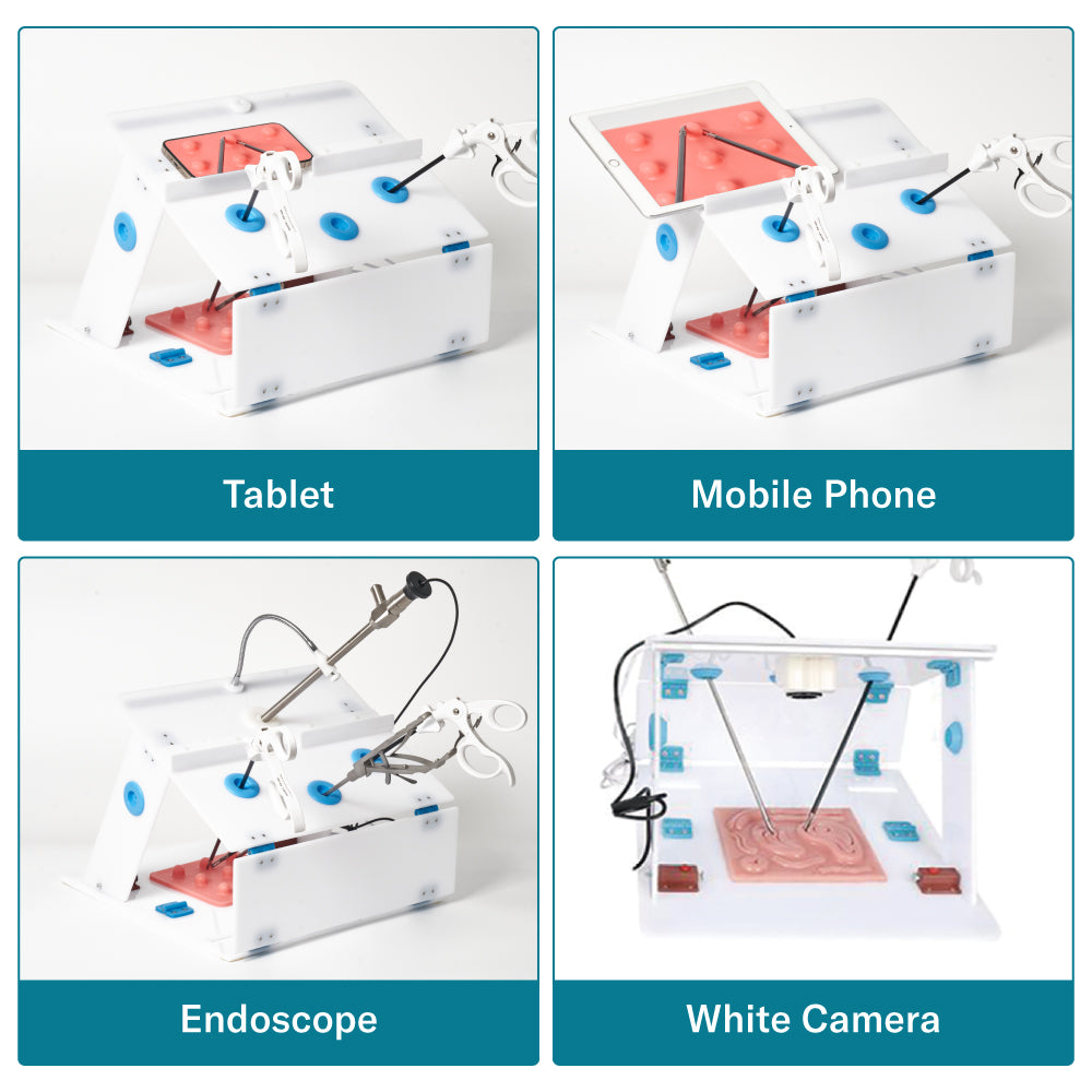 Caja de entrenamiento laparoscópico estándar Alcedo
