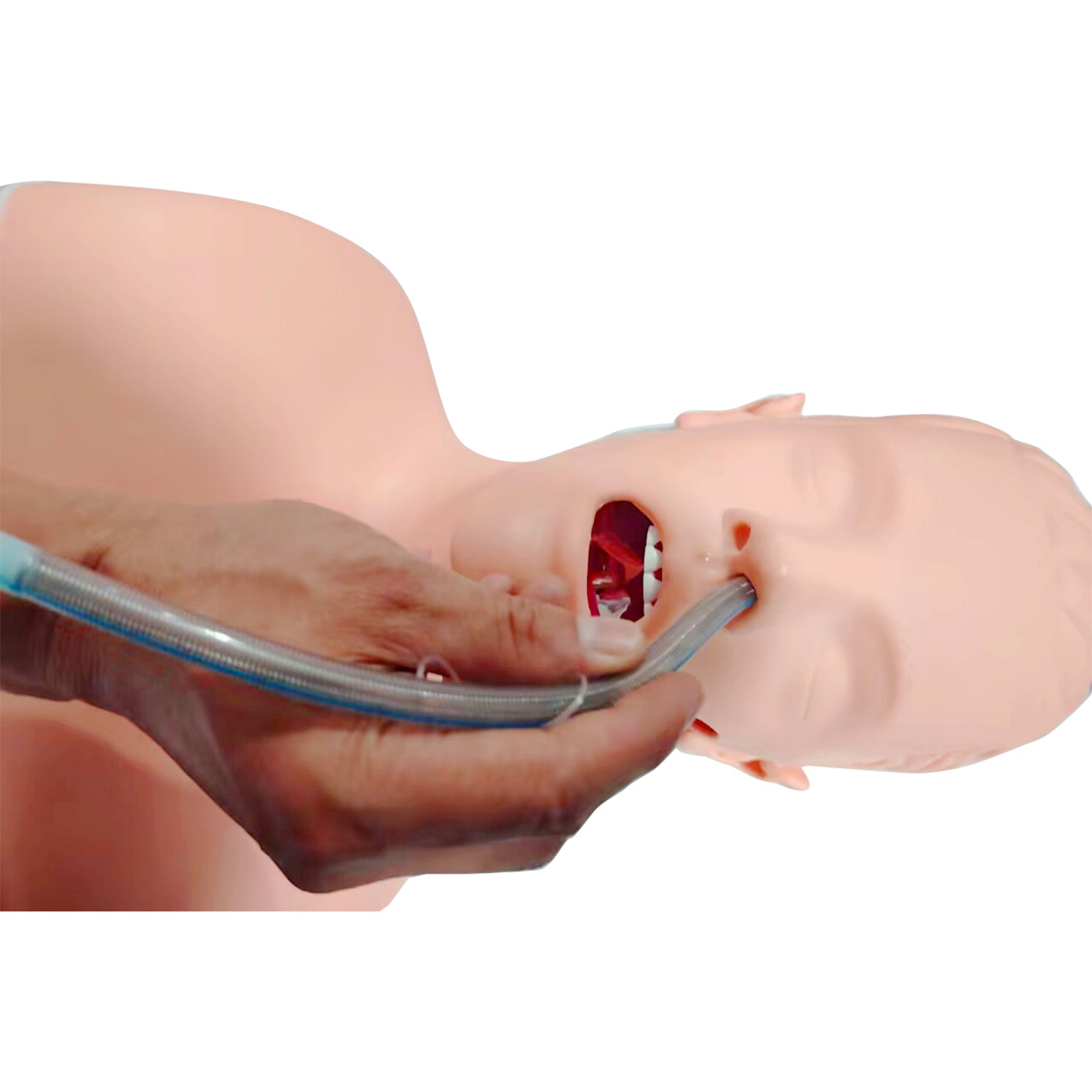Paquete de formación avanzada en vías respiratorias