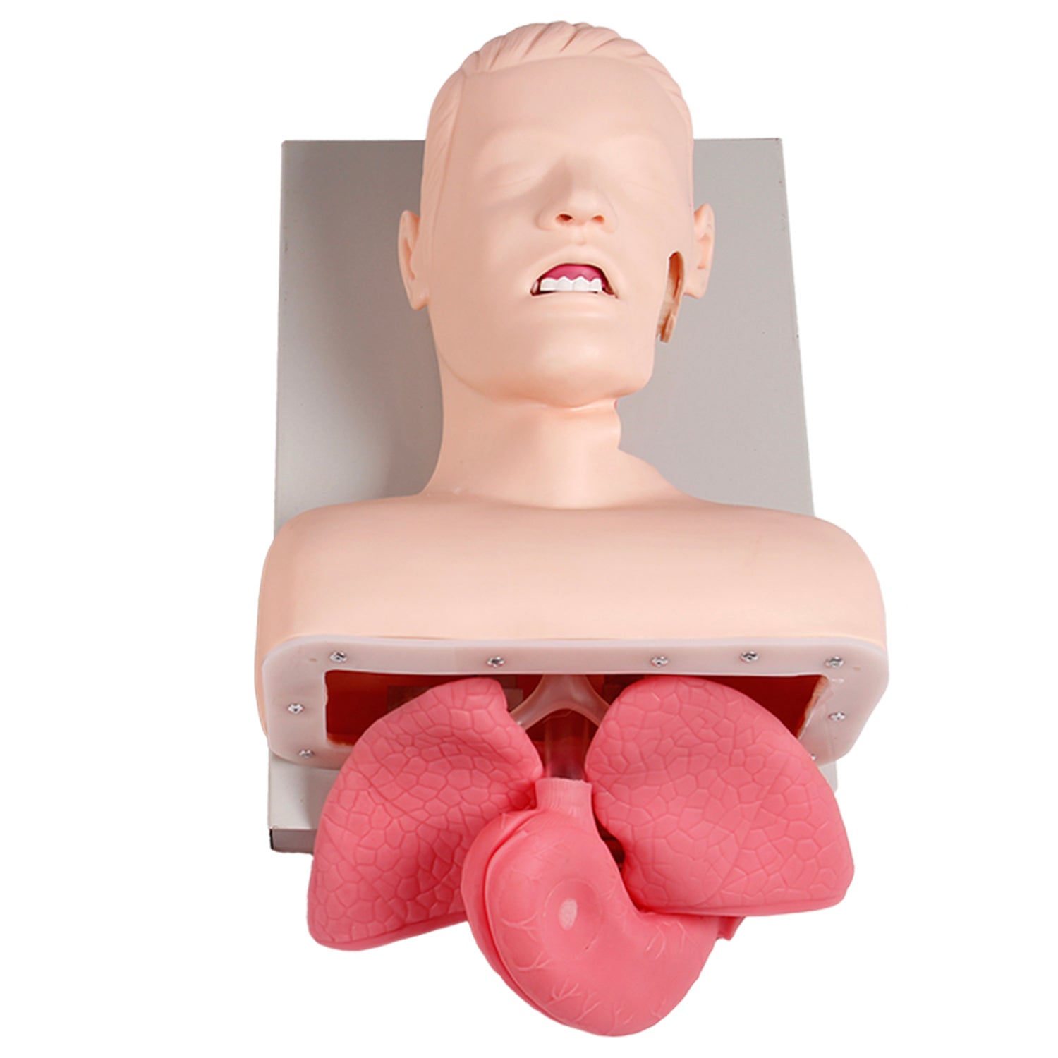 Paquete de formación avanzada en vías respiratorias