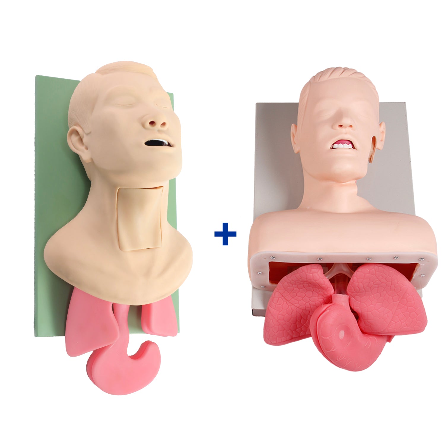 Paquete de formación avanzada en vías respiratorias