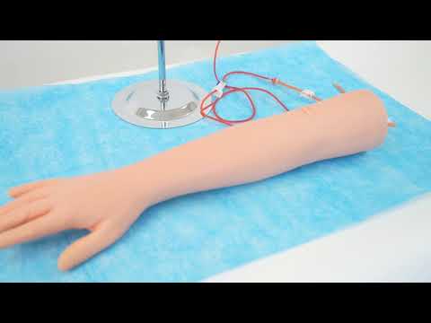 Brazo de práctica de simulación de flebotomía y Alcedo IV
