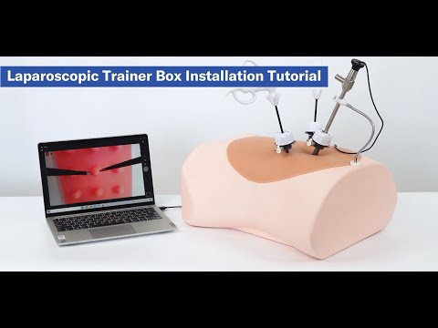 Caja de entrenamiento laparoscópico de simulación abdominal avanzada Alcedo